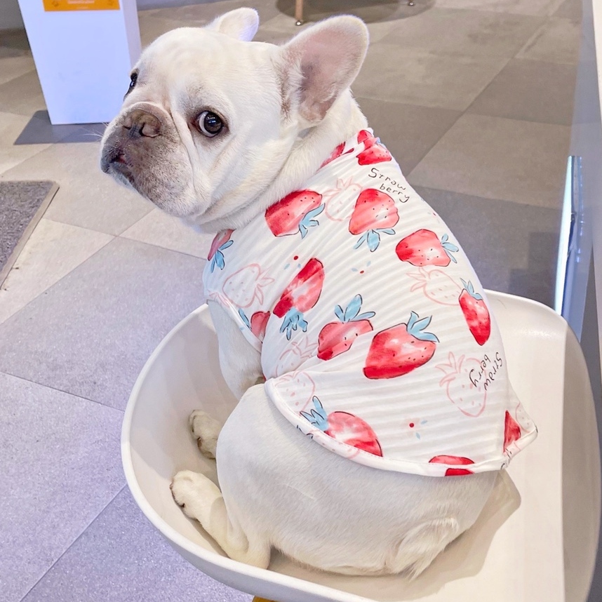 絶対可愛い フルーツ 動物 プリント チョッキ 通気性 涼しい 小型犬 猫 ペット服