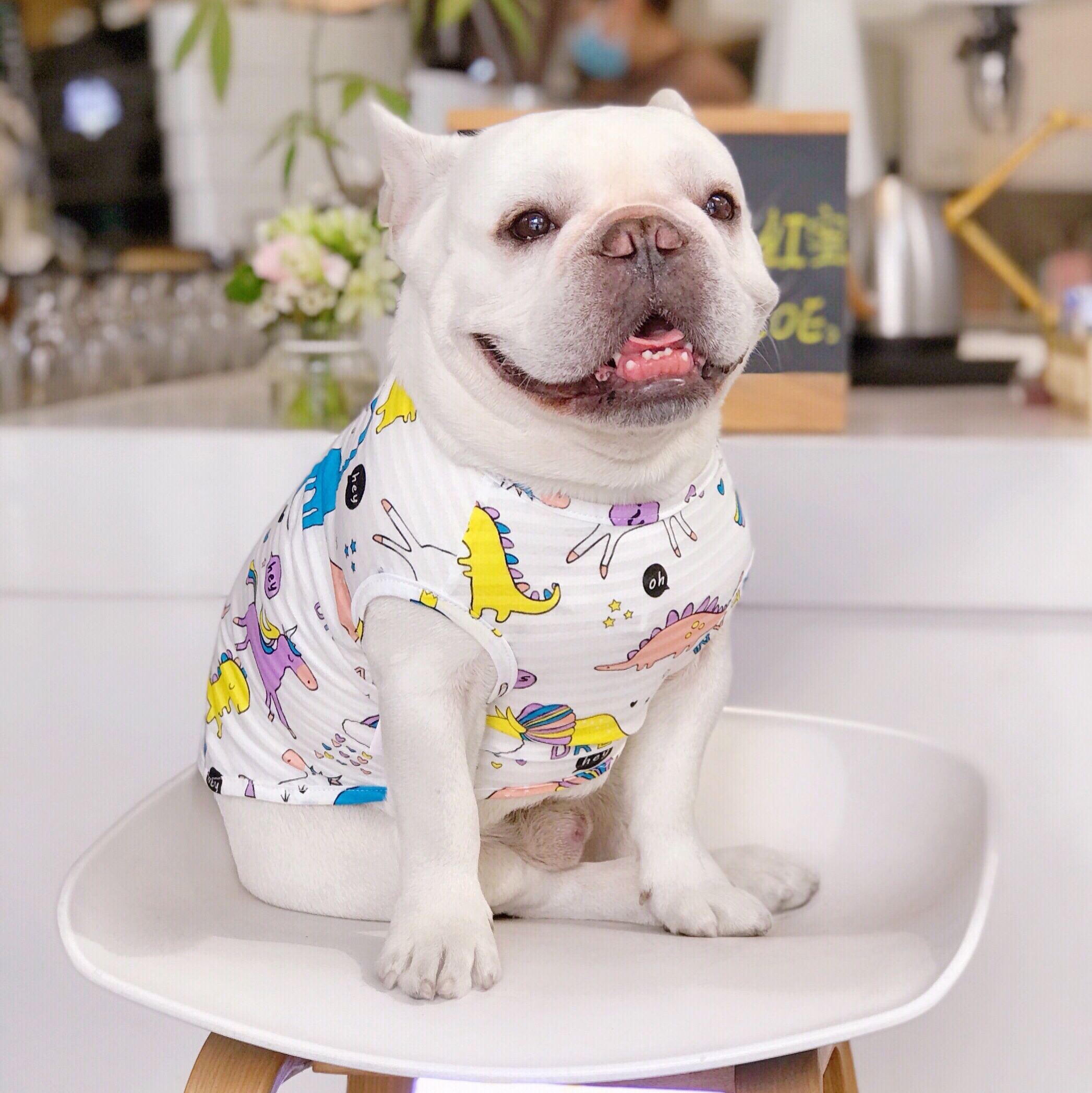 絶対可愛い フルーツ 動物 プリント チョッキ 通気性 涼しい 小型犬 猫 ペット服