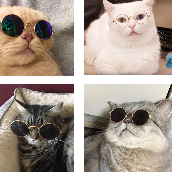 かっこいい サングラス メガネ 小型犬 猫眼鏡 日焼け対策 紫外線対策 ペット用品 アクセサリー